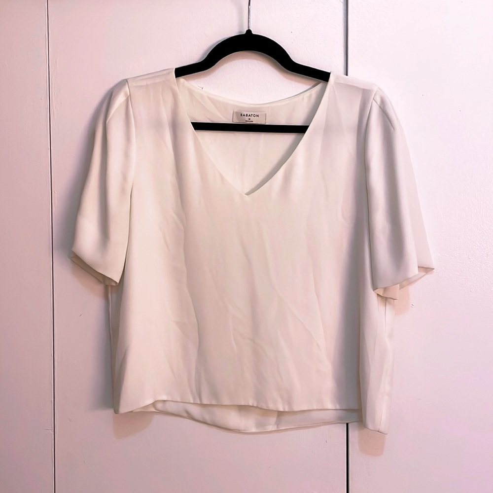 Beautiful V Neck Aritzia/Babaton Short Sleeve Randy Top